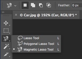 Magnetic Lasso Tool- Step 1