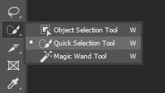 select Quick Selection Tool